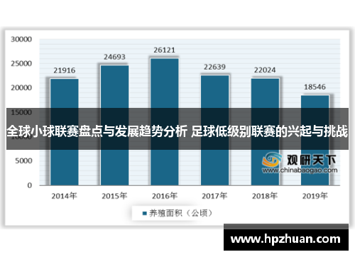 全球小球联赛盘点与发展趋势分析 足球低级别联赛的兴起与挑战