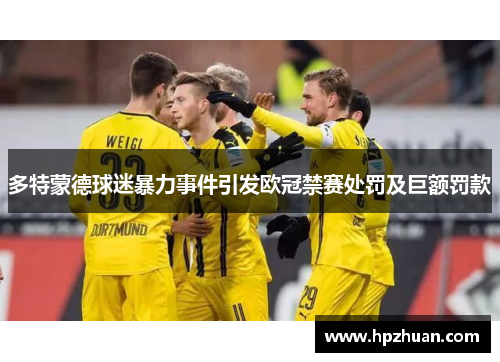 多特蒙德球迷暴力事件引发欧冠禁赛处罚及巨额罚款